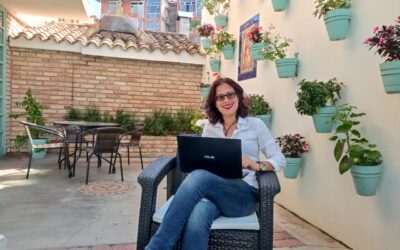 Gobierno electrónico: sinergia fundamental entre empresa y Estado